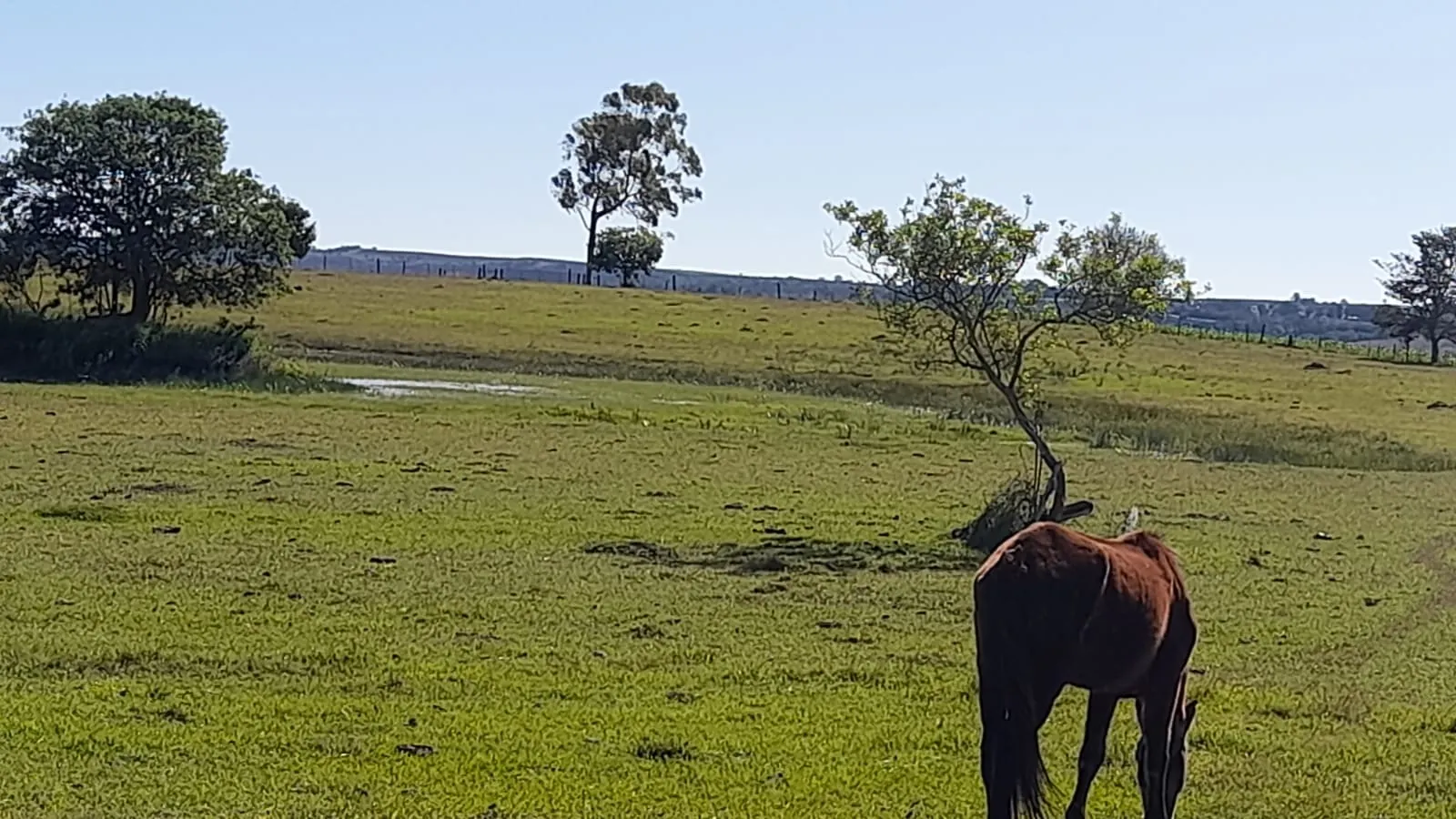 Small farm for sale of 158 acres in Itapetininga, SP, Brazil
