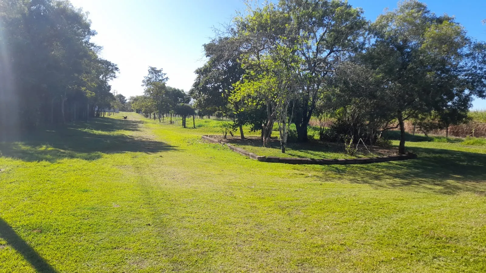 Small farm for sale of 158 acres in Itapetininga, SP, Brazil