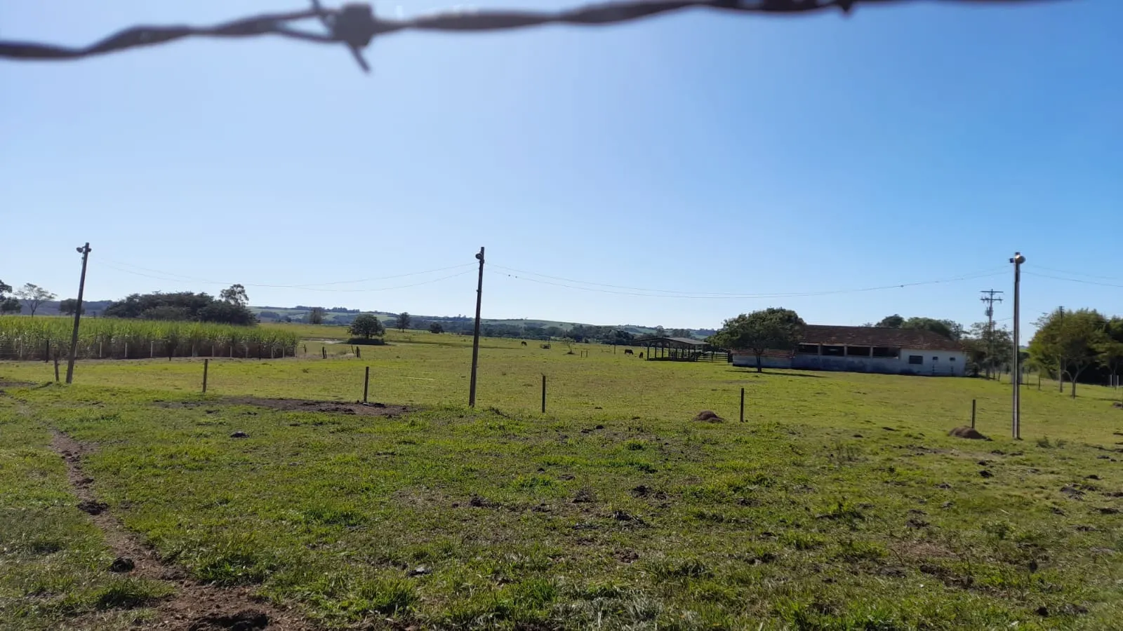 Small farm for sale of 158 acres in Itapetininga, SP, Brazil
