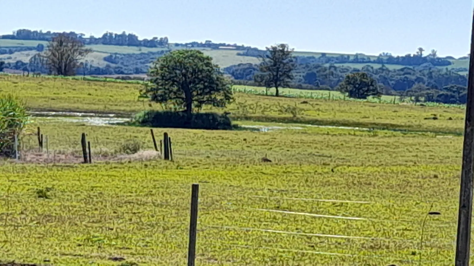 Small farm for sale of 158 acres in Itapetininga, SP, Brazil