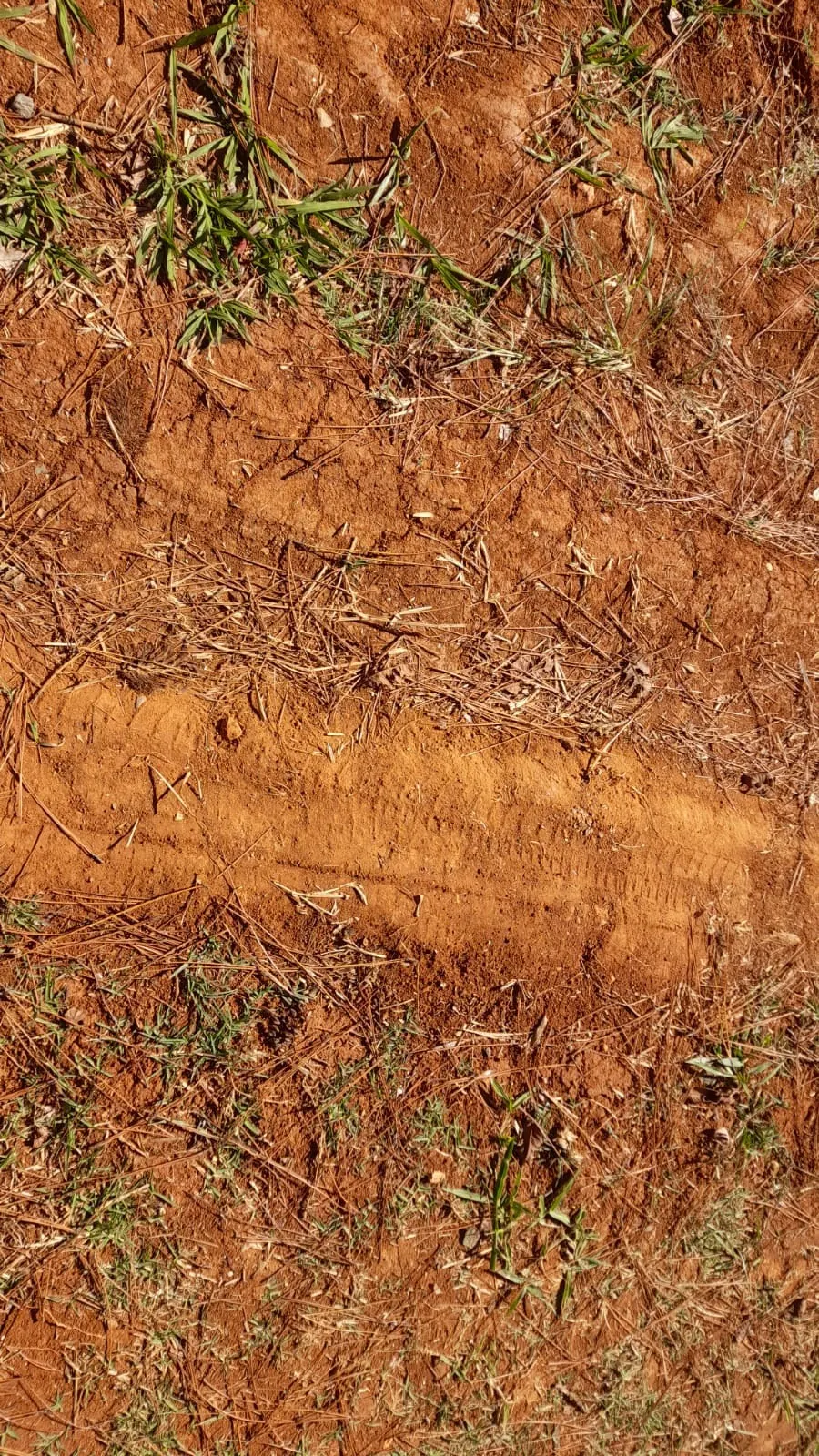 Small farm for sale of 158 acres in Itapetininga, SP, Brazil