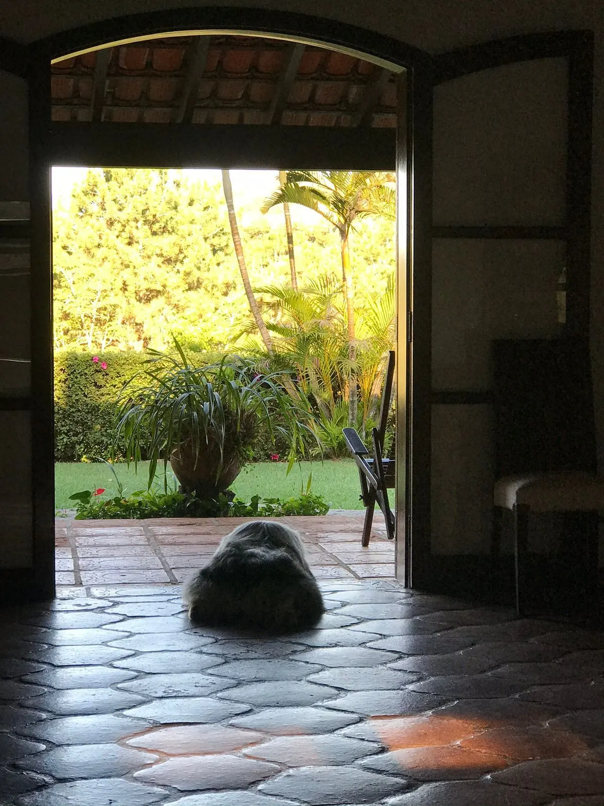 Chácara  de 1 ha em Vinhedo, SP, Brasil