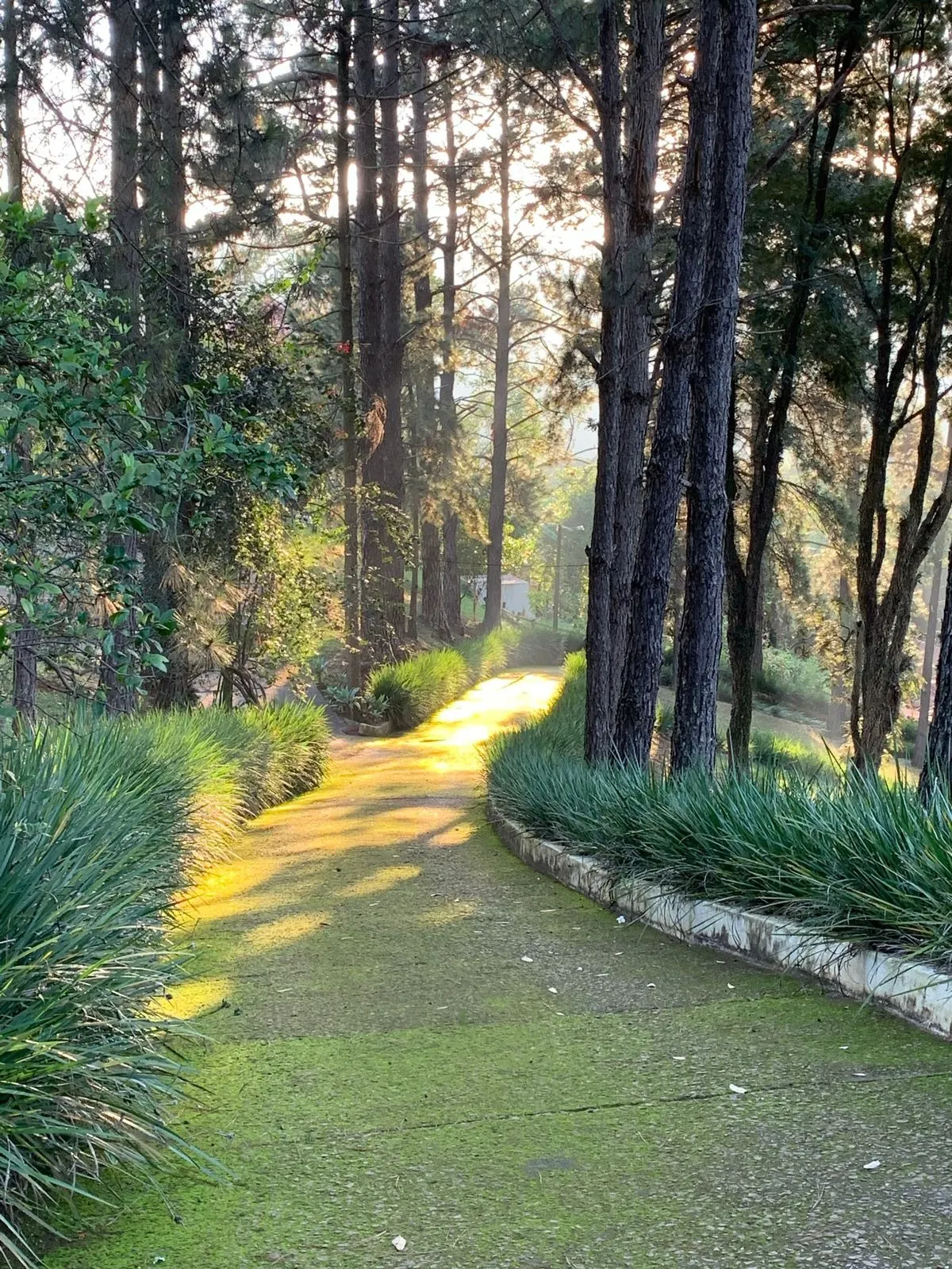 Chácara  de 1 ha em Vinhedo, SP, Brasil