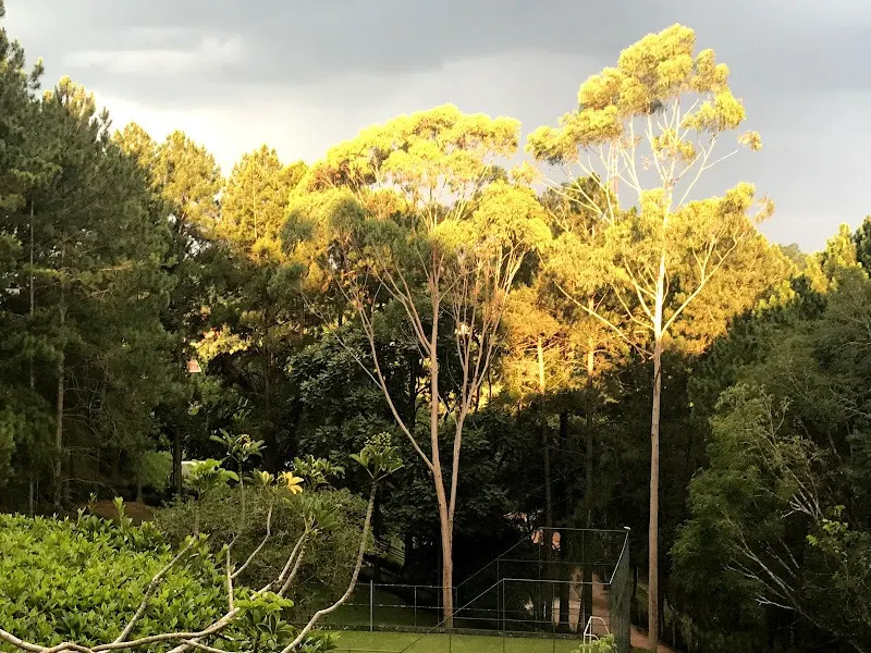 Chácara  de 1 ha em Vinhedo, SP, Brasil