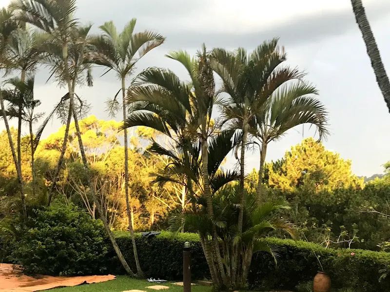 Chácara  de 1 ha em Vinhedo, SP, Brasil
