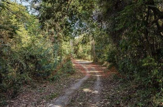Sítio à venda de 15 ha em Jundiaí, SP, Brasil