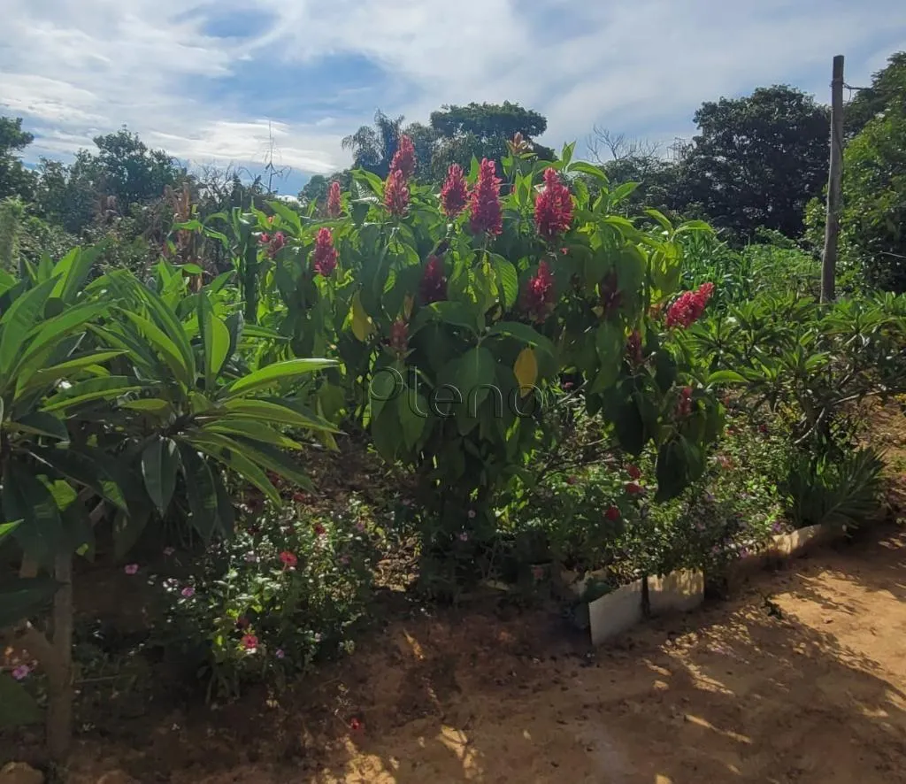 Sítio à venda de 4 ha em Monte Mor, SP, Brasil