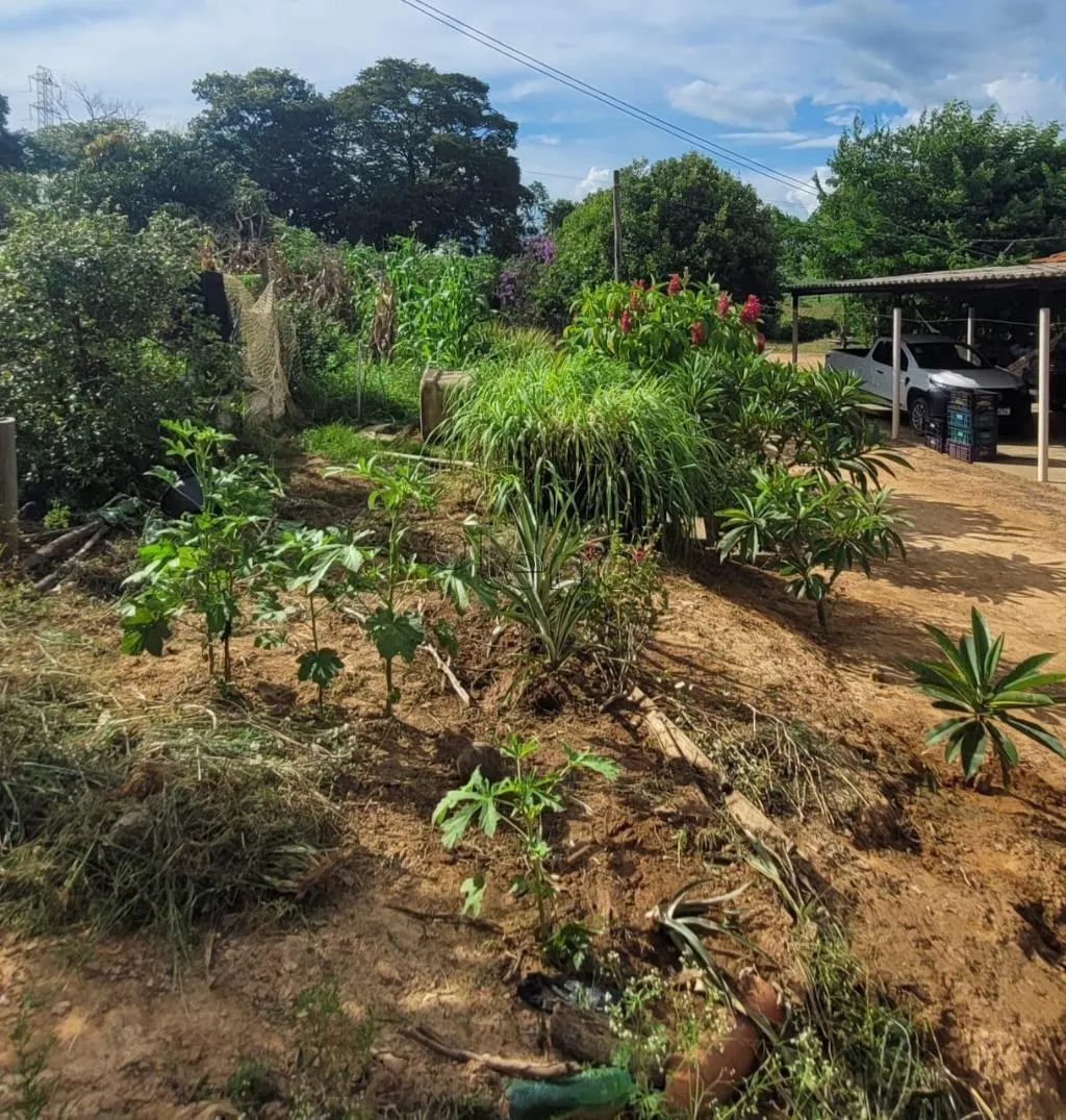 Sítio à venda de 4 ha em Monte Mor, SP, Brasil