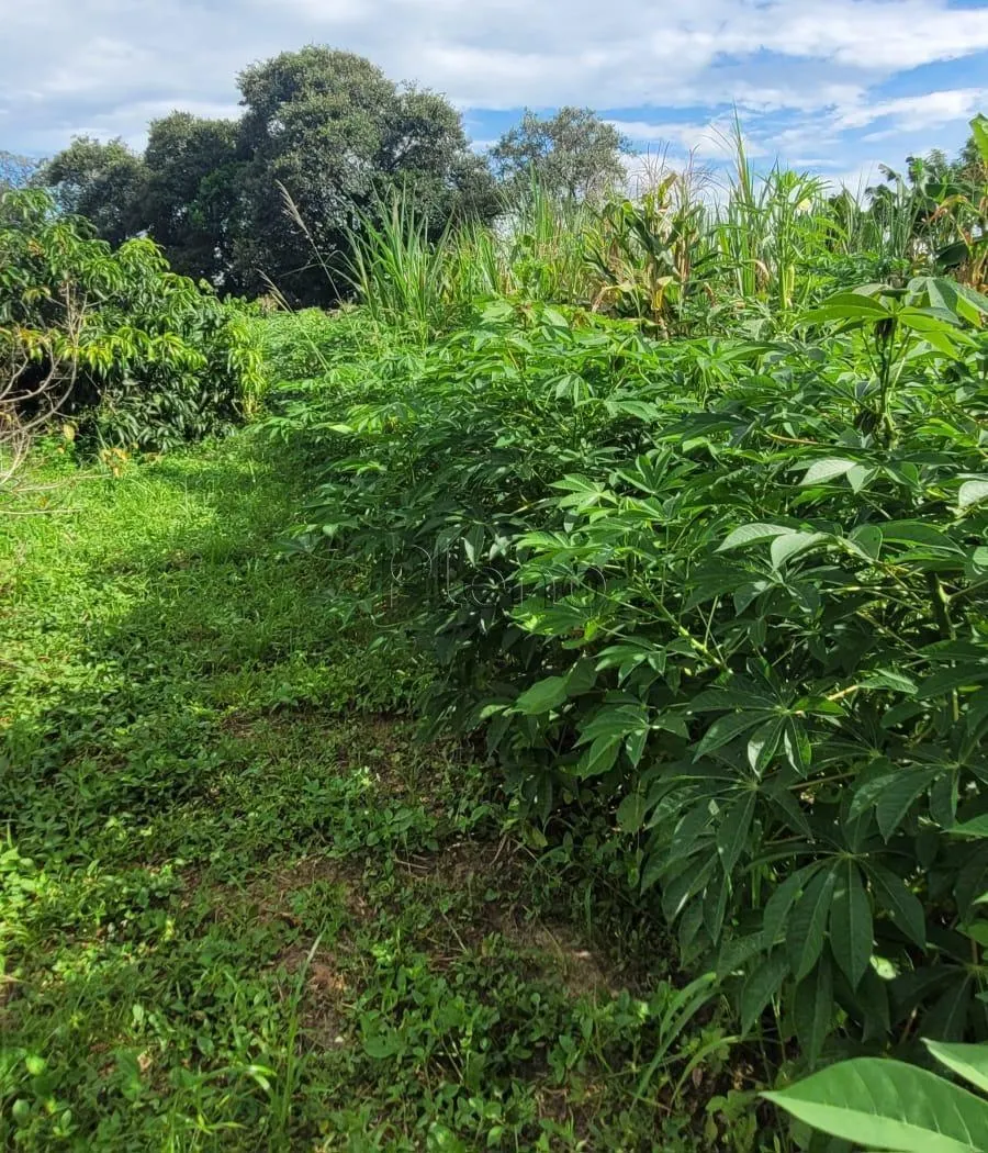 Sítio à venda de 4 ha em Monte Mor, SP, Brasil