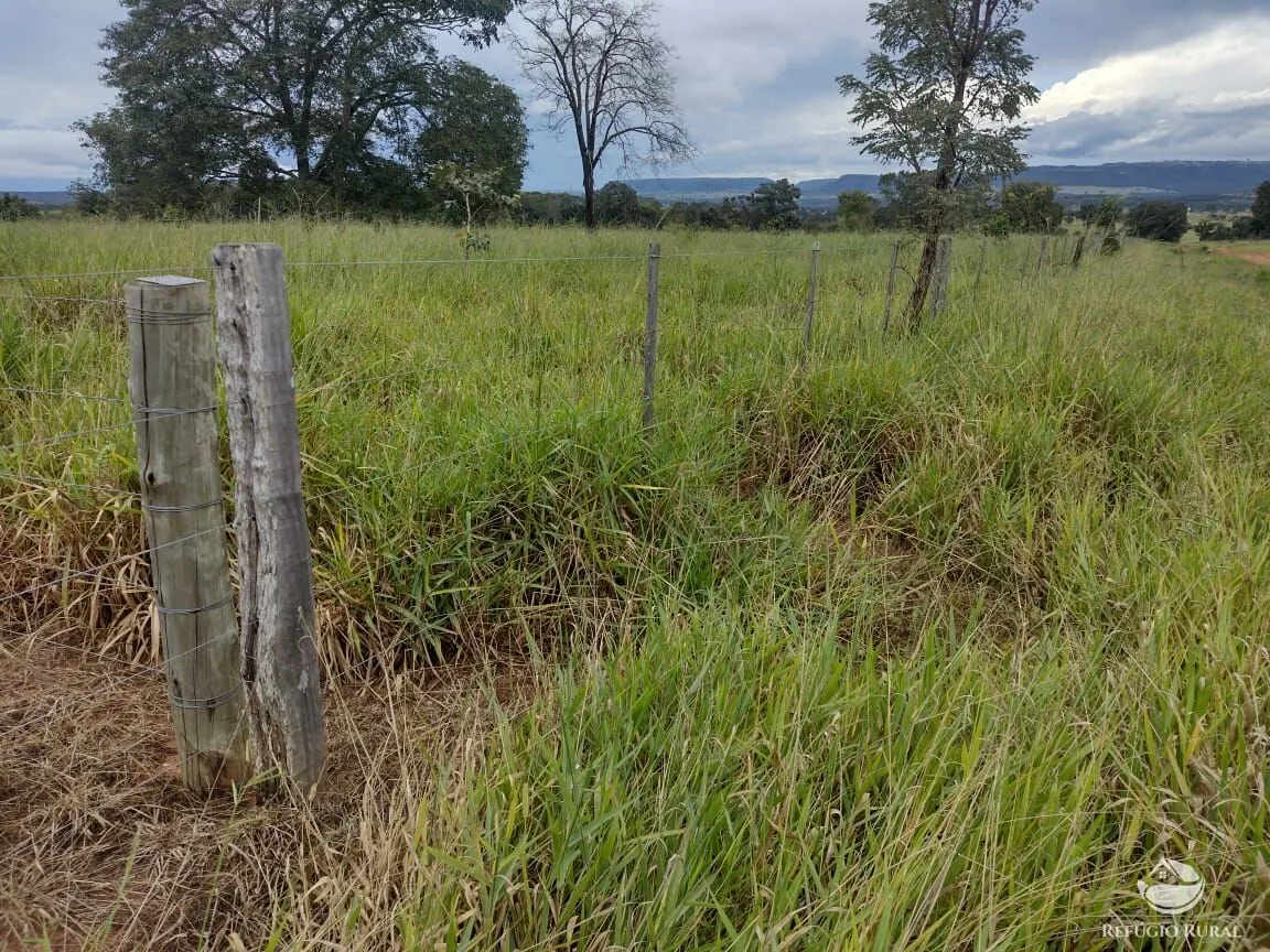 Fazenda à venda de 8.733 ha em Serranópolis, GO, Brasil