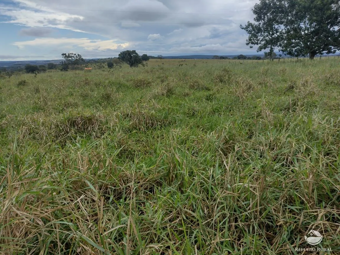 Fazenda à venda de 8.733 ha em Serranópolis, GO, Brasil