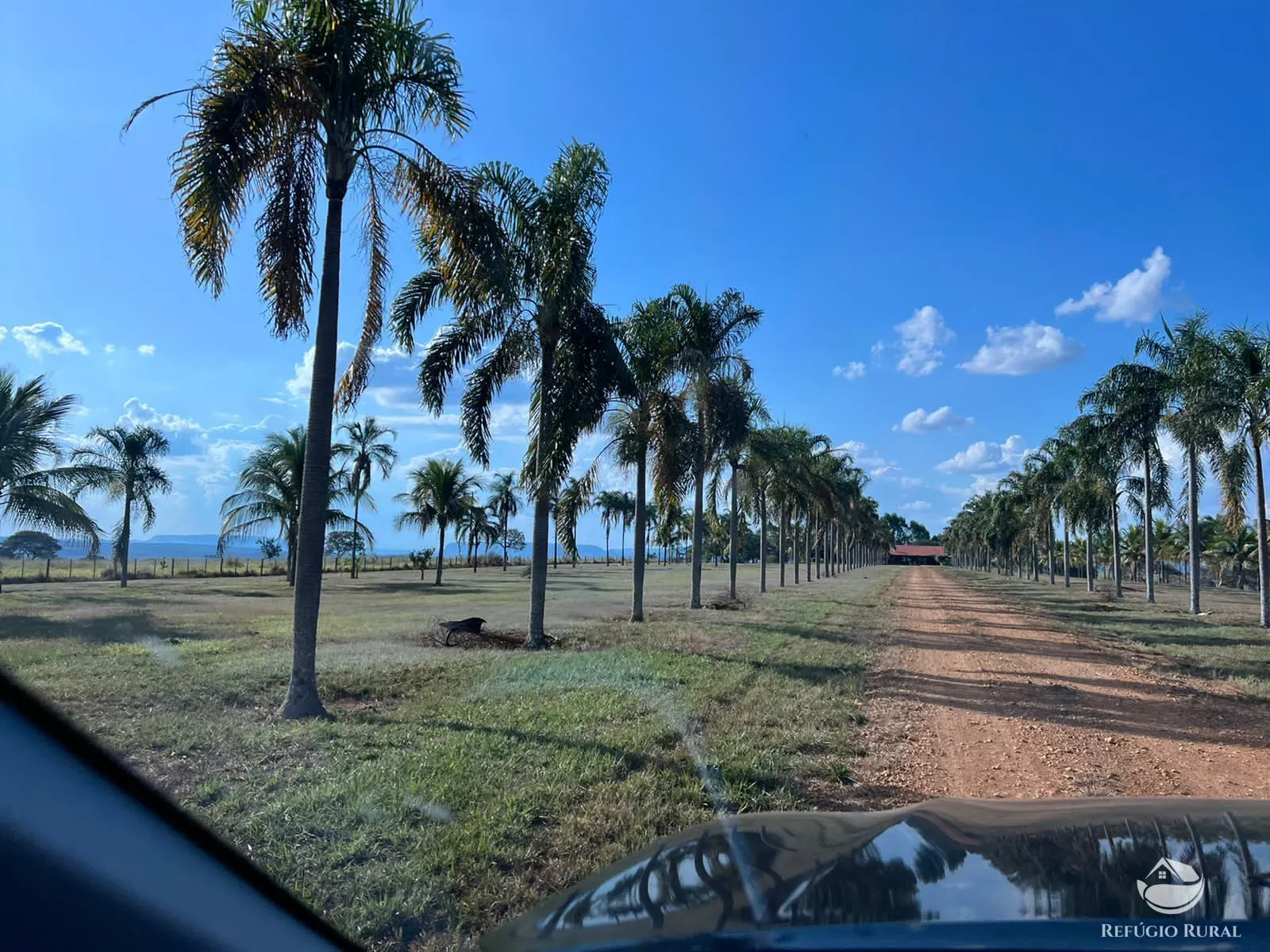 Fazenda à venda de 8.733 ha em Serranópolis, GO, Brasil