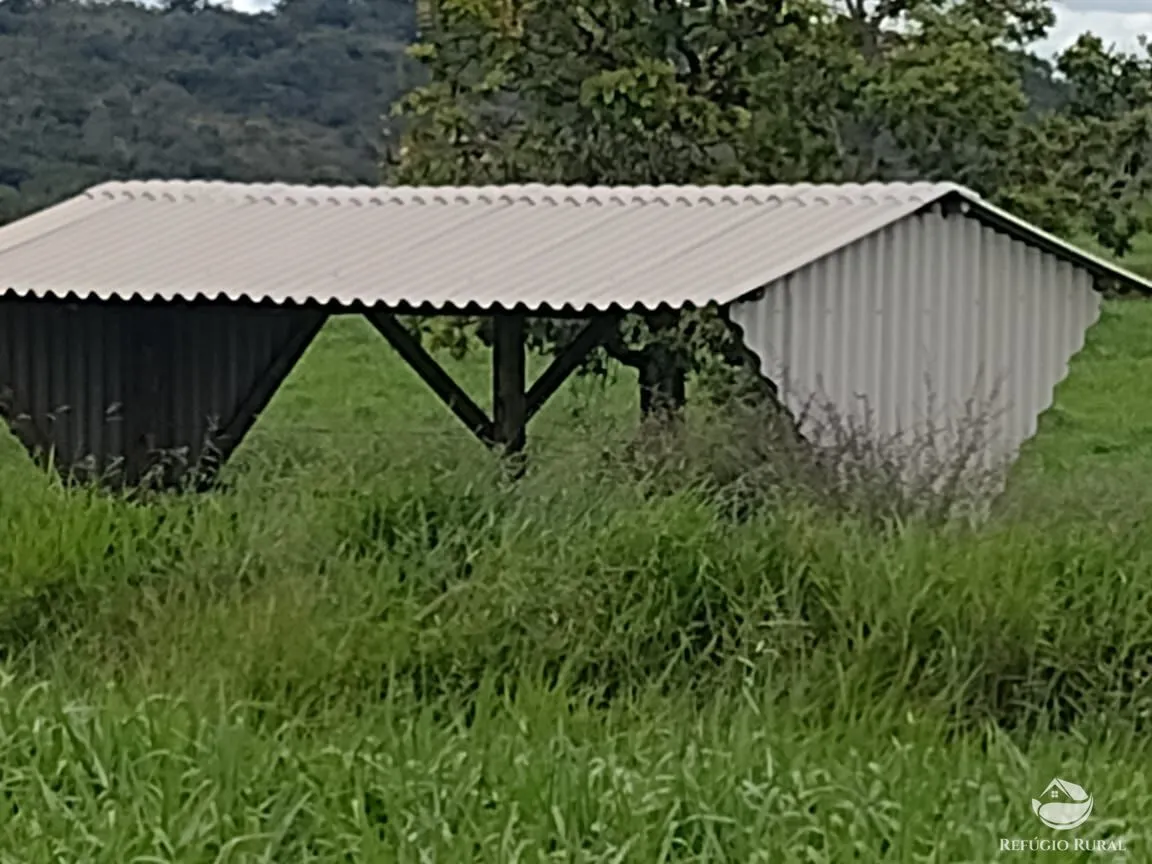 Fazenda à venda de 8.733 ha em Serranópolis, GO, Brasil
