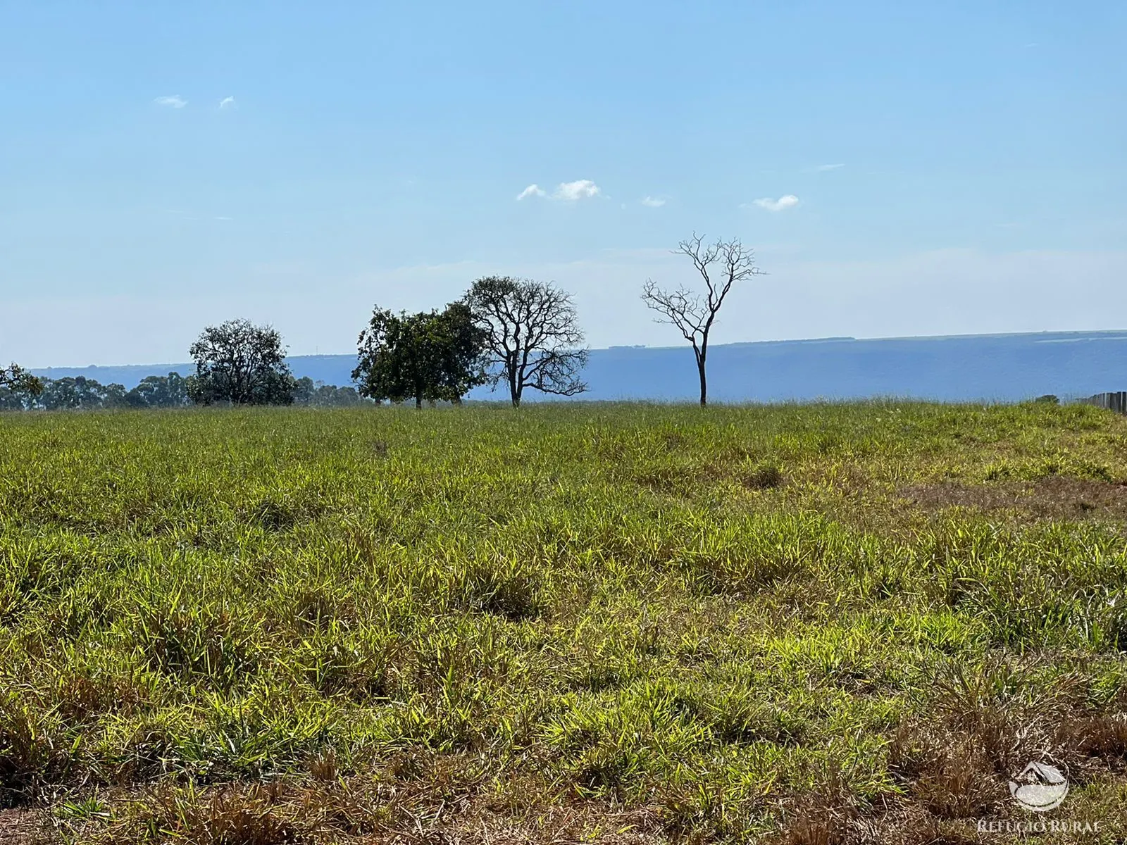 Fazenda à venda de 8.733 ha em Serranópolis, GO, Brasil