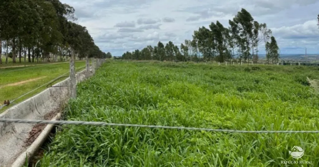 Fazenda à venda de 8.733 ha em Serranópolis, GO, Brasil