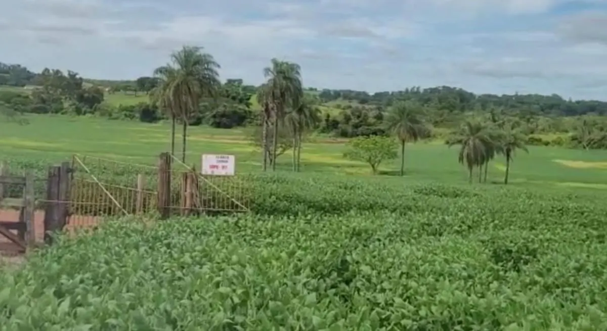 Sítio à venda de 36 ha em Santa Rita do Passa Quatro, SP, Brasil