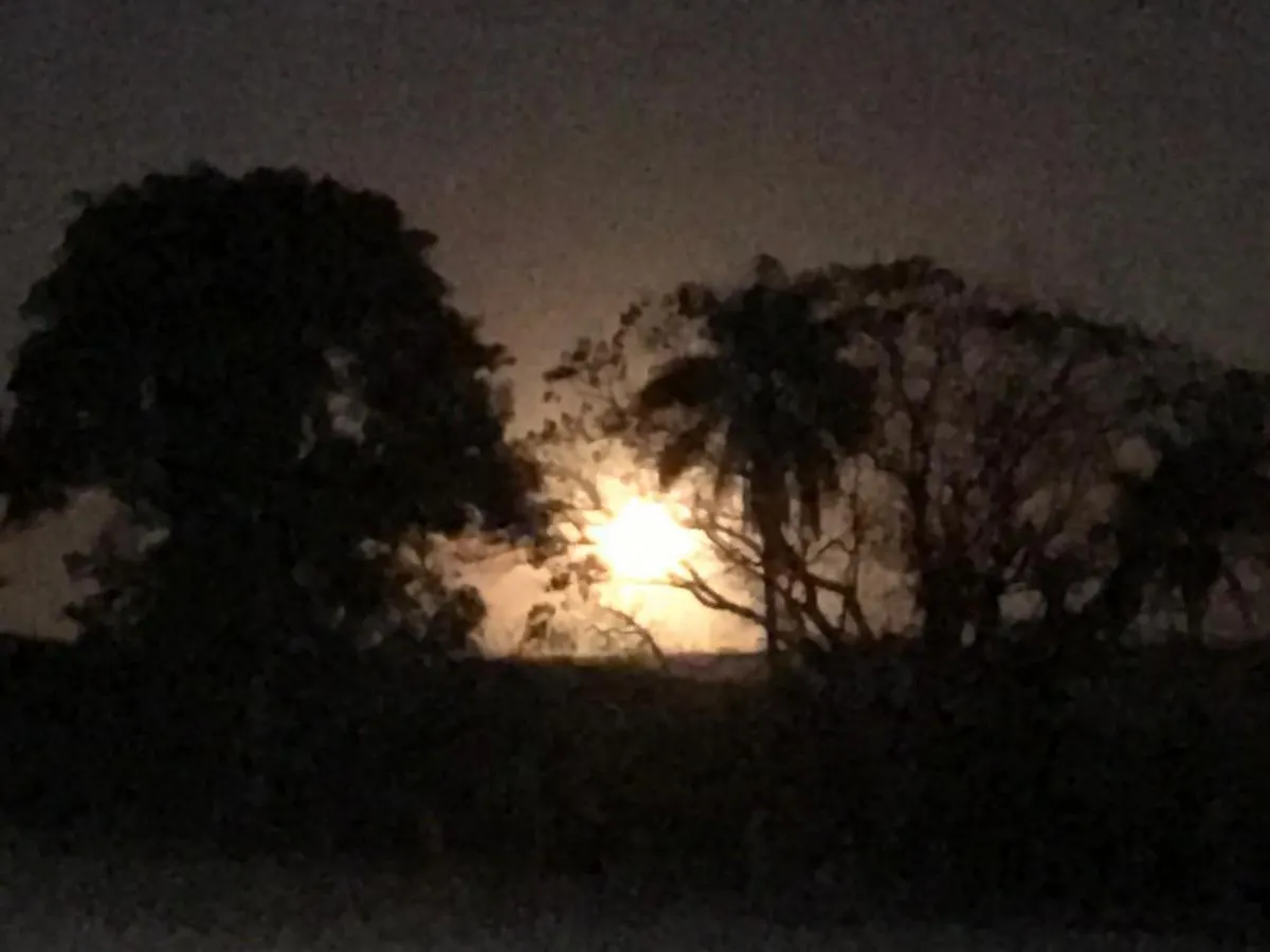 Sítio à venda de 36 ha em Santa Rita do Passa Quatro, SP, Brasil