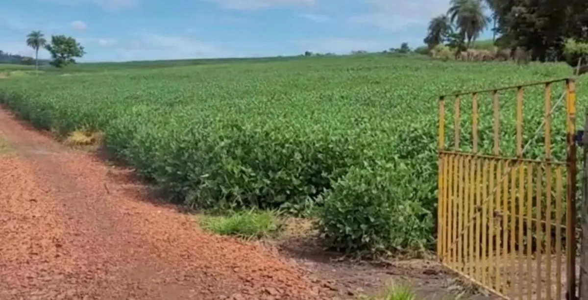 Sítio à venda de 36 ha em Santa Rita do Passa Quatro, SP, Brasil