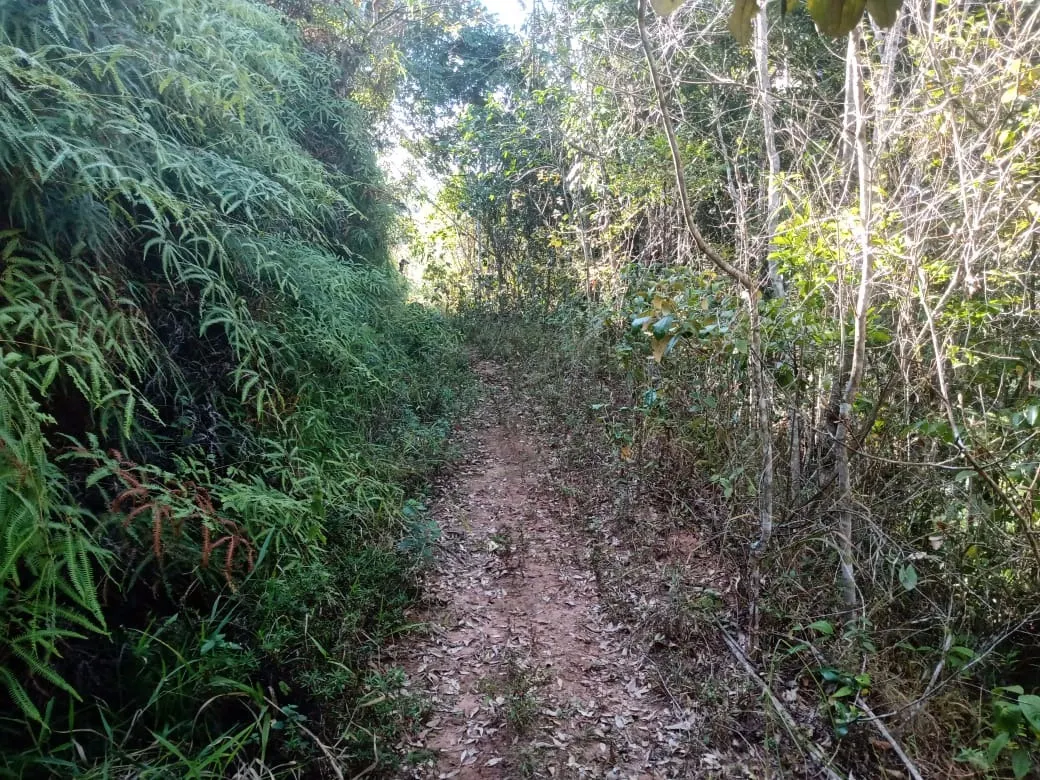 Sítio à venda de 17 ha em São José dos Campos, SP, Brasil