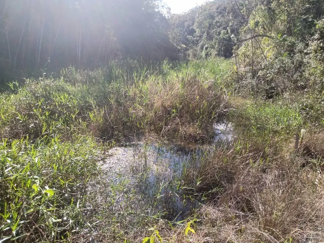 Sítio à venda de 17 ha em São José dos Campos, SP, Brasil