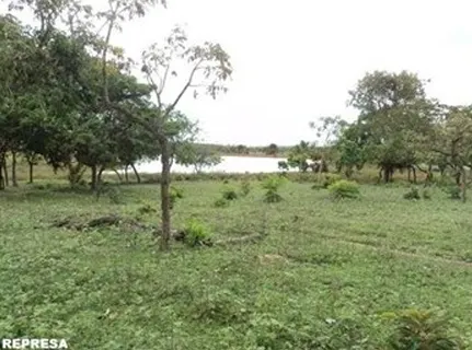 Fazenda à venda de 4.000 ha em Buritizeiro, MG, Brasil