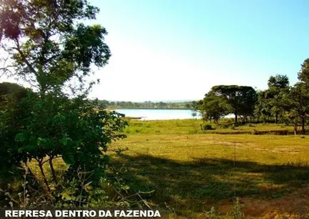Fazenda à venda de 4.000 ha em Buritizeiro, MG, Brasil