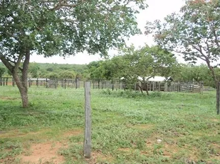 Fazenda à venda de 4.000 ha em Buritizeiro, MG, Brasil