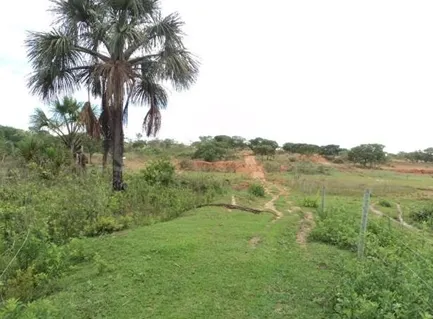 Fazenda à venda de 4.000 ha em Buritizeiro, MG, Brasil