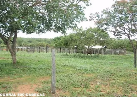 Fazenda à venda de 4.000 ha em Buritizeiro, MG, Brasil