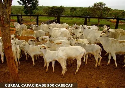 Fazenda à venda de 4.000 ha em Buritizeiro, MG, Brasil