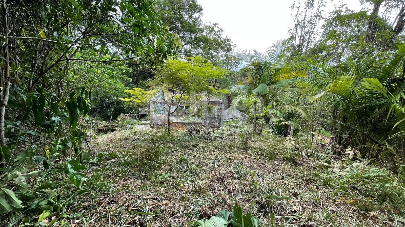 Fazenda à venda de 4 ha em Canelinha, SC, Brasil