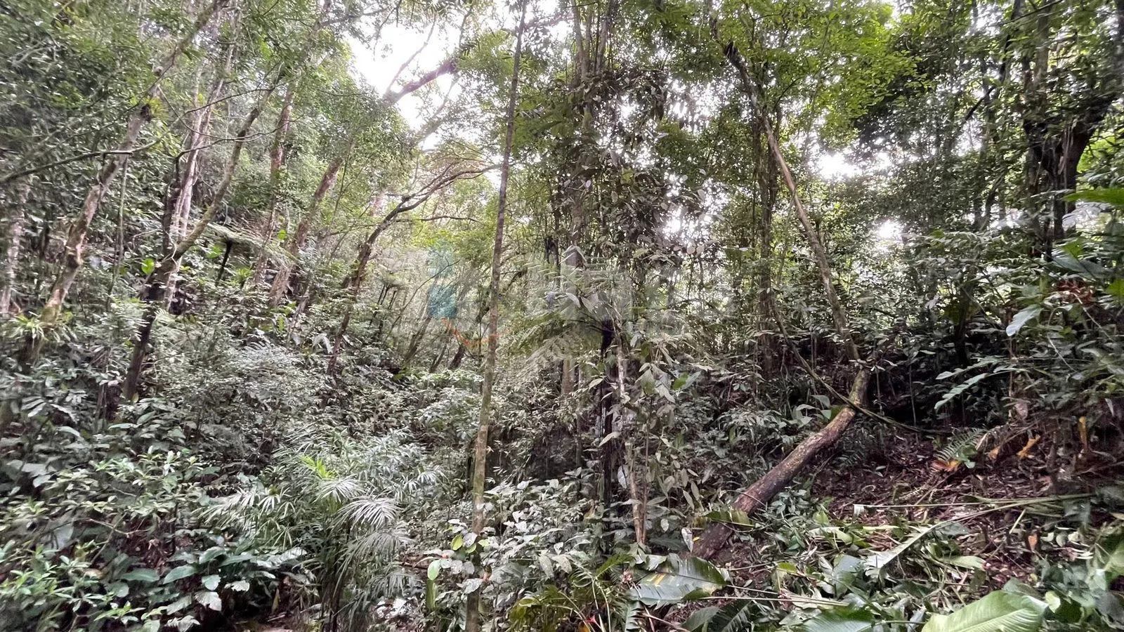Fazenda à venda de 4 ha em Canelinha, SC, Brasil