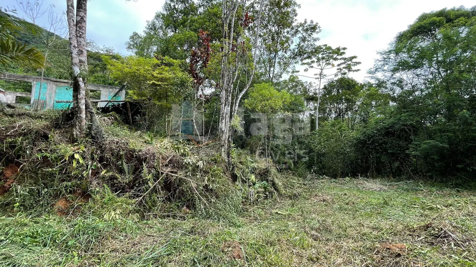 Fazenda à venda de 4 ha em Canelinha, SC, Brasil