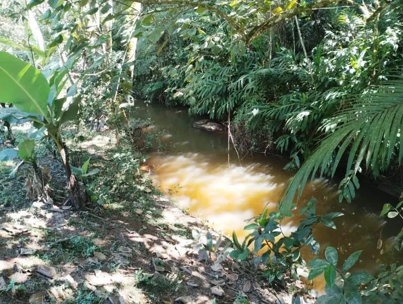 Chácara à venda de 2 ha em Juquitiba, SP, Brasil