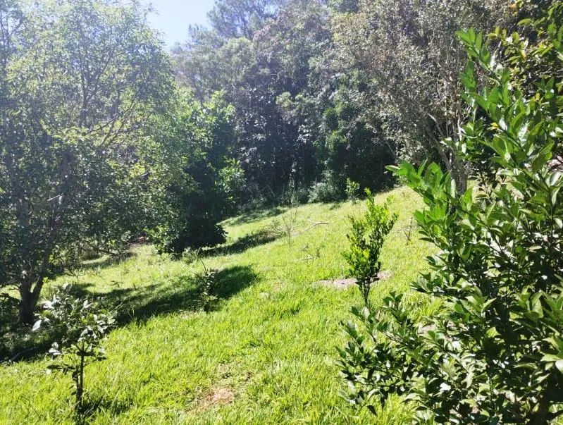 Chácara à venda de 2 ha em Juquitiba, SP, Brasil