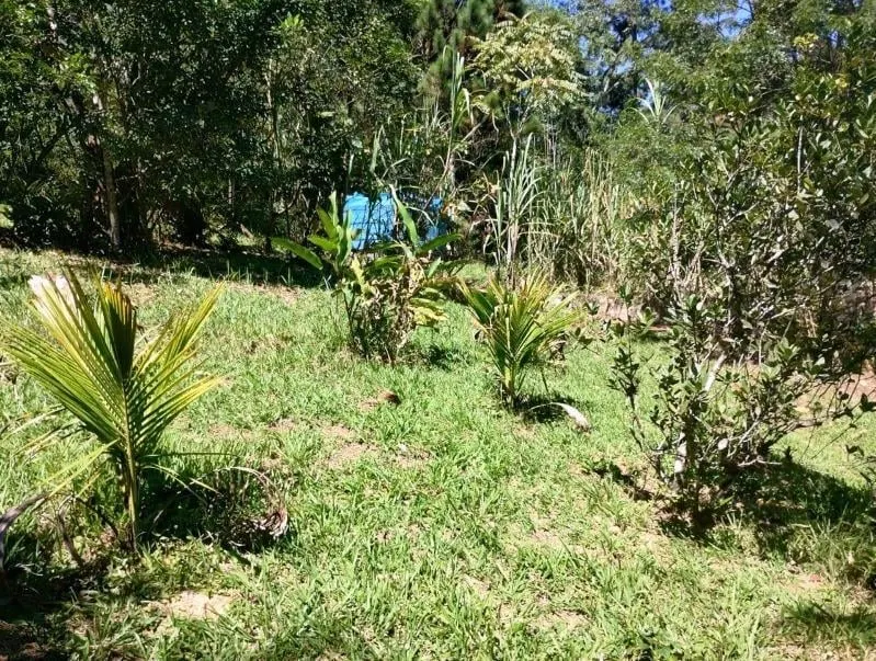 Chácara à venda de 2 ha em Juquitiba, SP, Brasil