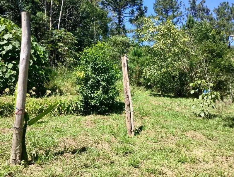 Chácara à venda de 2 ha em Juquitiba, SP, Brasil