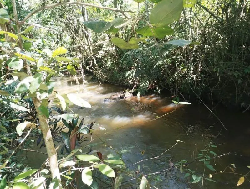 Chácara à venda de 2 ha em Juquitiba, SP, Brasil
