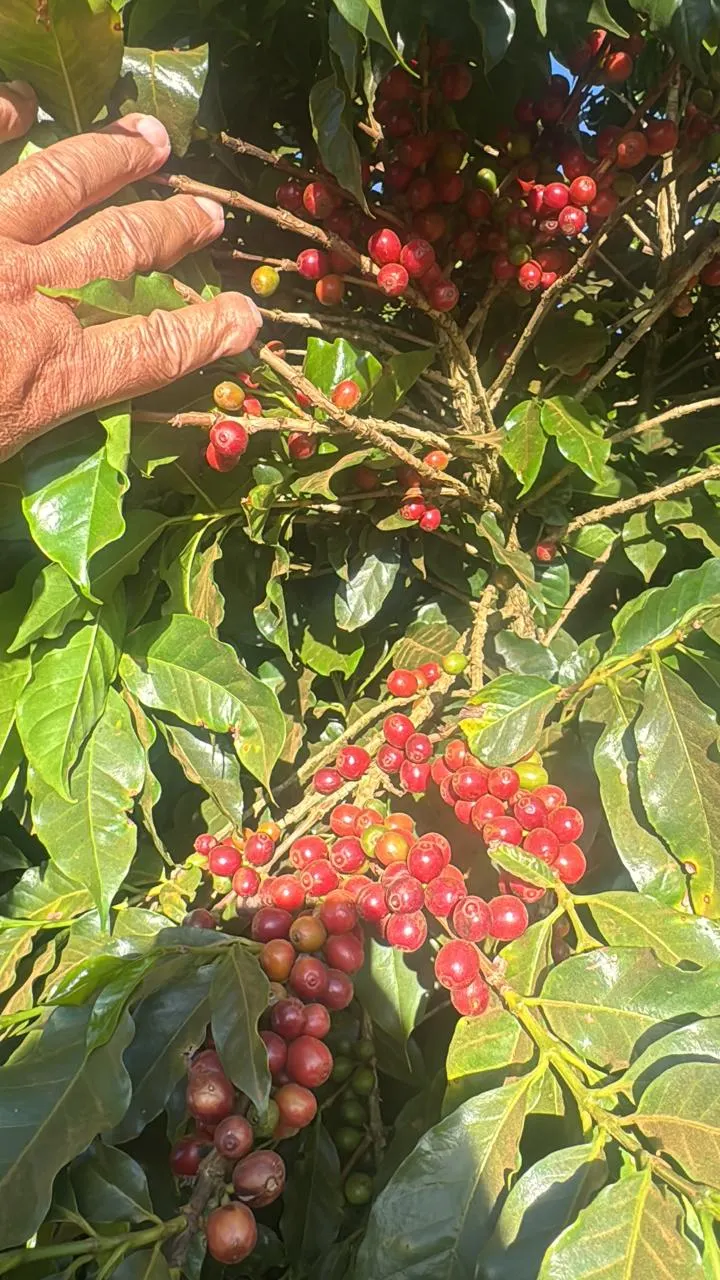 Fazenda à venda de 4.500 m² em Patos de Minas, MG, Brasil
