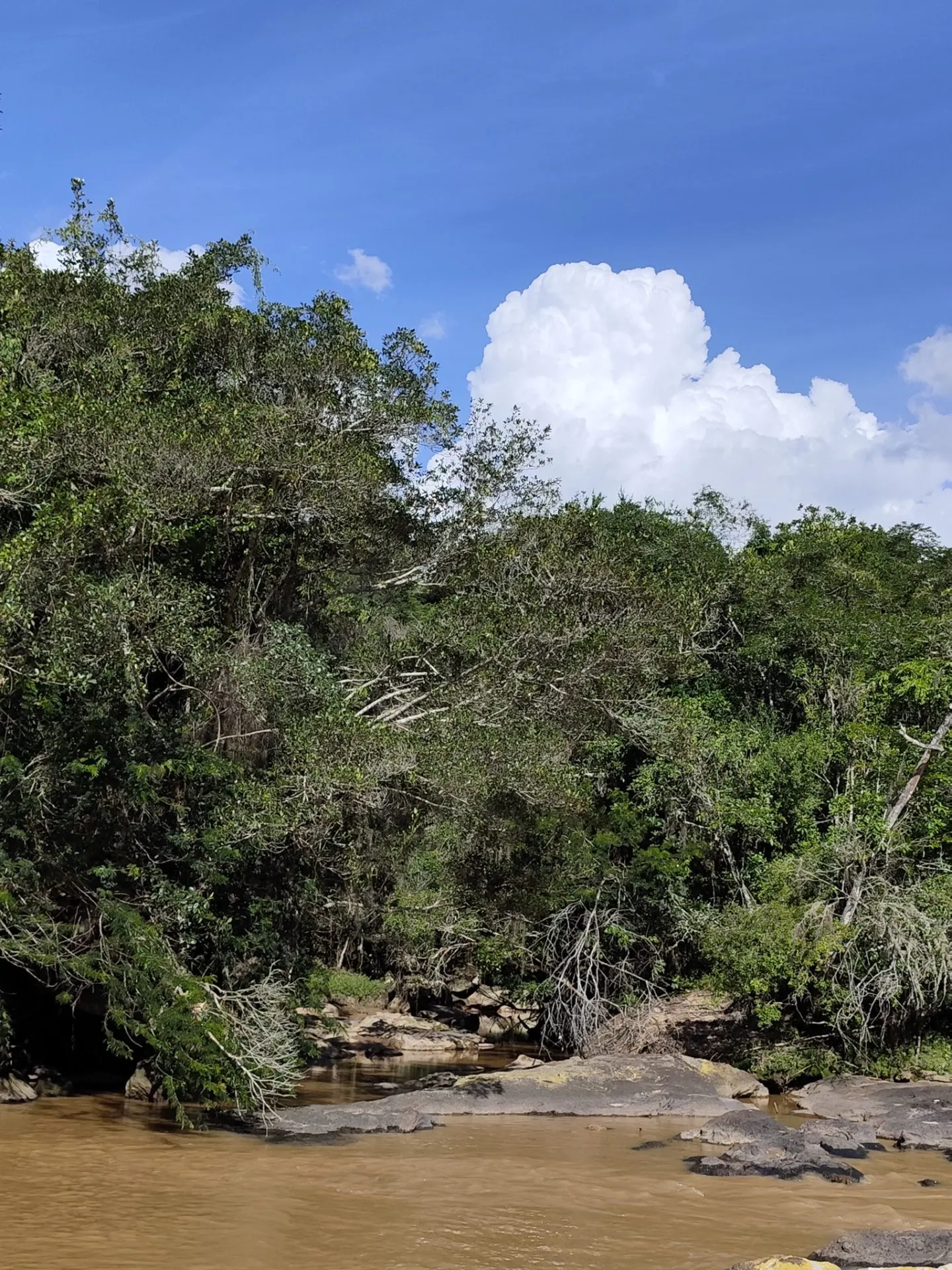 Fazenda à venda de 90 ha em Redenção da Serra, SP, Brasil