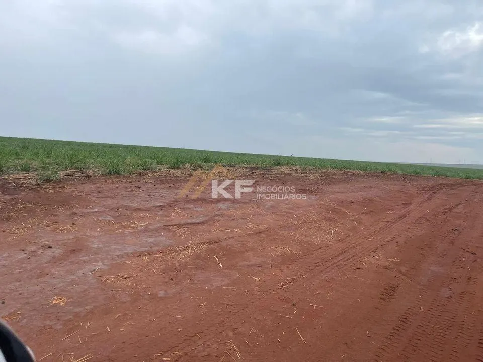 Fazenda à venda de 968 ha em São Carlos, SP, Brasil
