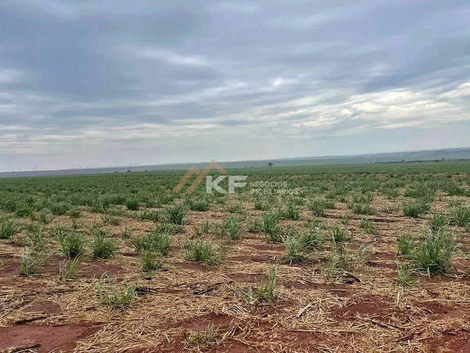 Fazenda à venda de 968 ha em São Carlos, SP, Brasil
