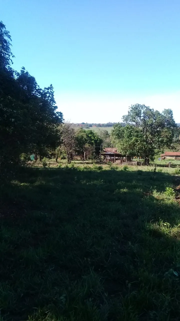 Sítio à venda de 13 ha em Jaguariúna, SP, Brasil