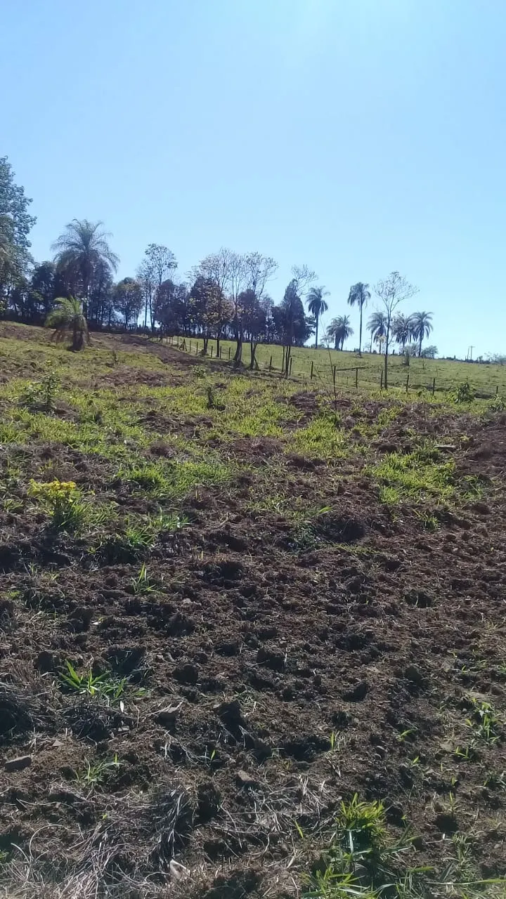 Sítio à venda de 13 ha em Jaguariúna, SP, Brasil