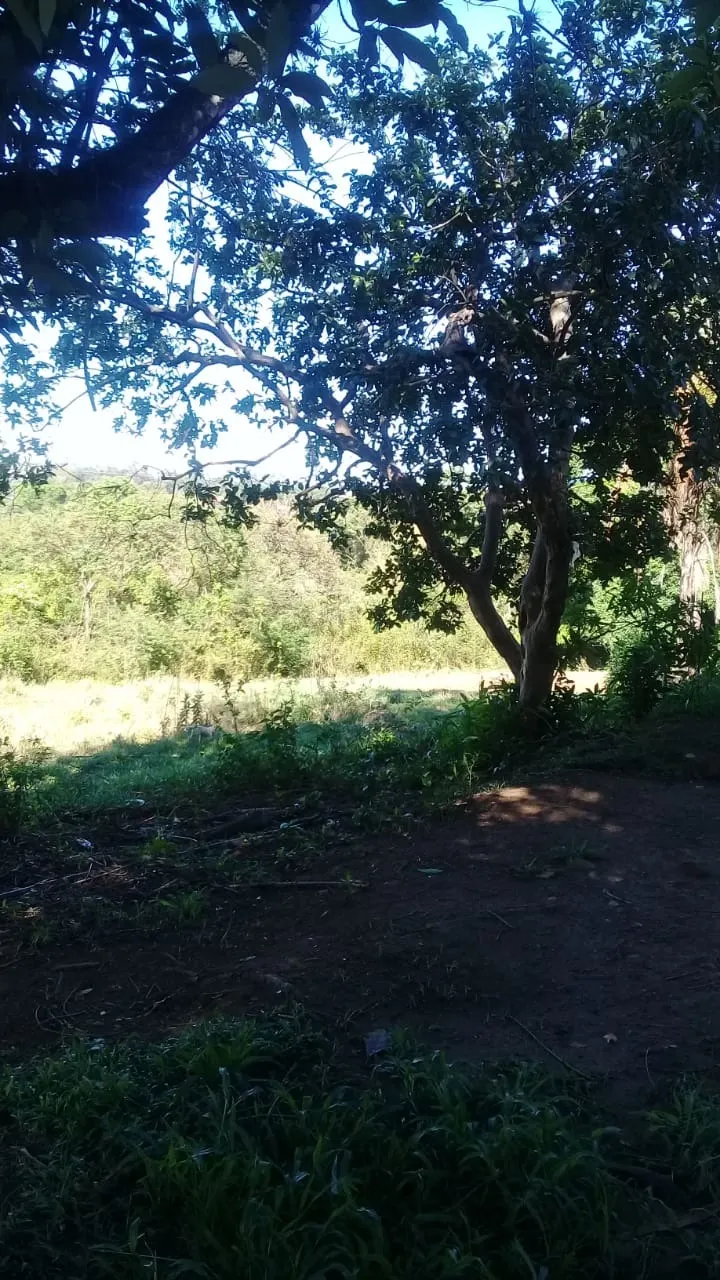 Sítio à venda de 13 ha em Jaguariúna, SP, Brasil