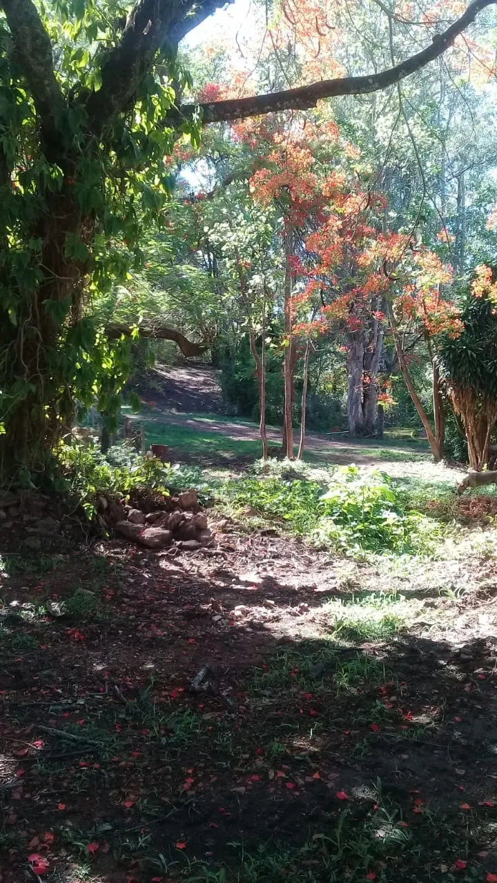 Sítio à venda de 13 ha em Jaguariúna, SP, Brasil