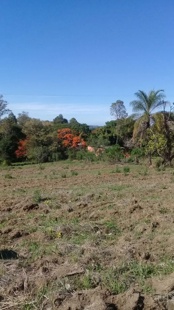 Sítio à venda de 13 ha em Jaguariúna, SP, Brasil
