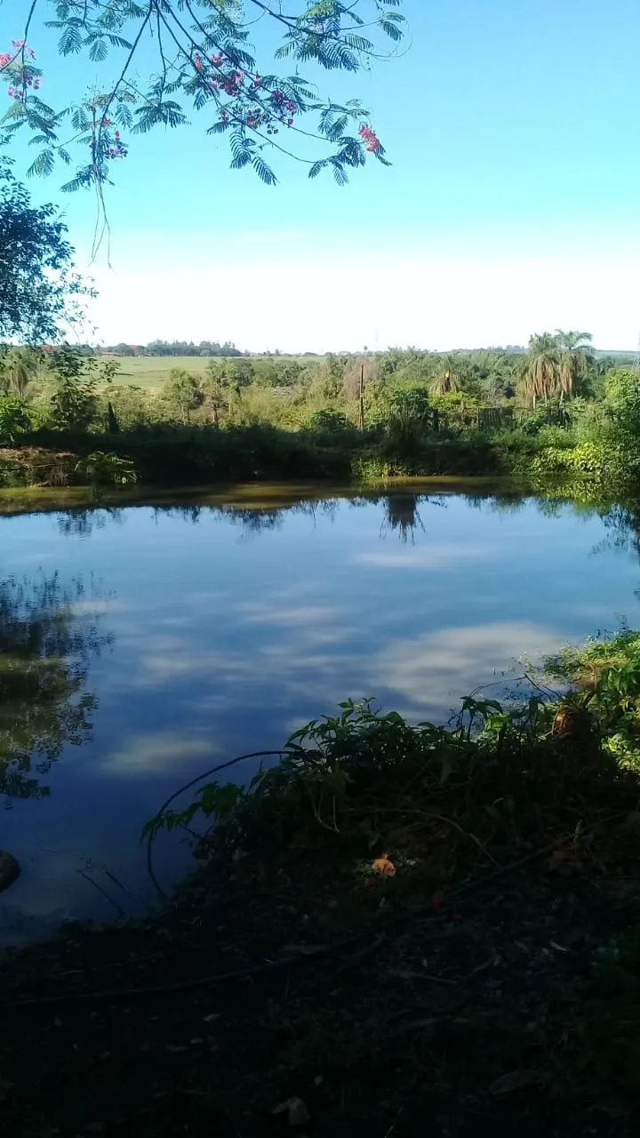 Sítio à venda de 13 ha em Jaguariúna, SP, Brasil