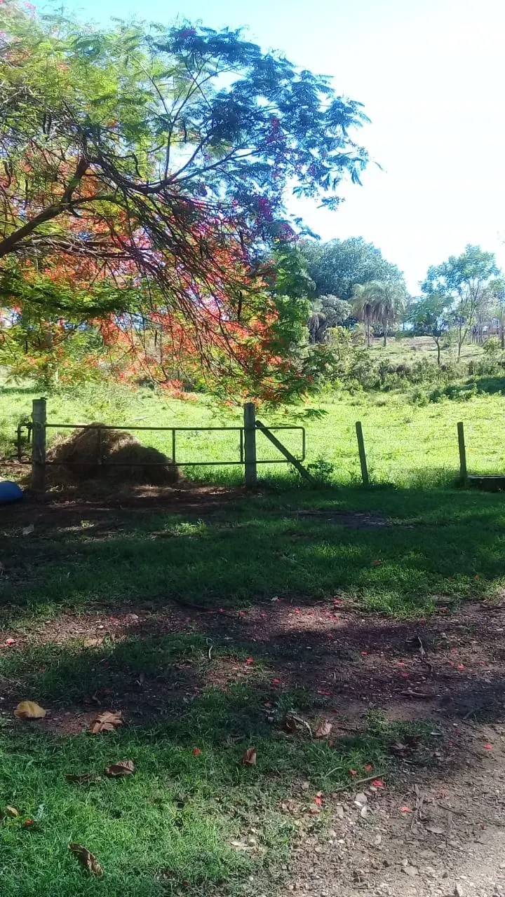 Sítio à venda de 13 ha em Jaguariúna, SP, Brasil