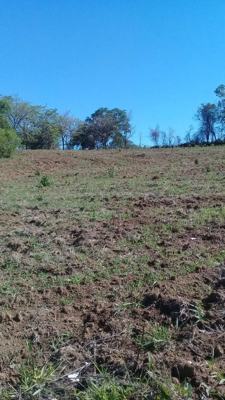 Sítio à venda de 13 ha em Jaguariúna, SP, Brasil